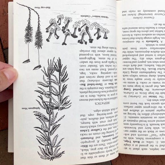 2 Acadia National Park Guides Downeast Carriage Road Maine Nature Outdoor - Picture 9 of 17